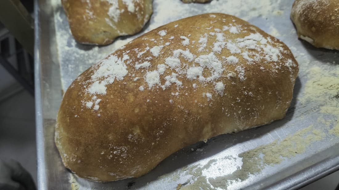Pan Pannino — Ciabatta